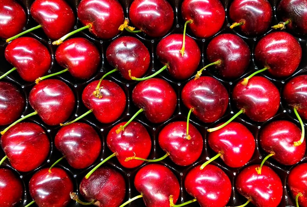 Photo Cherry varieties